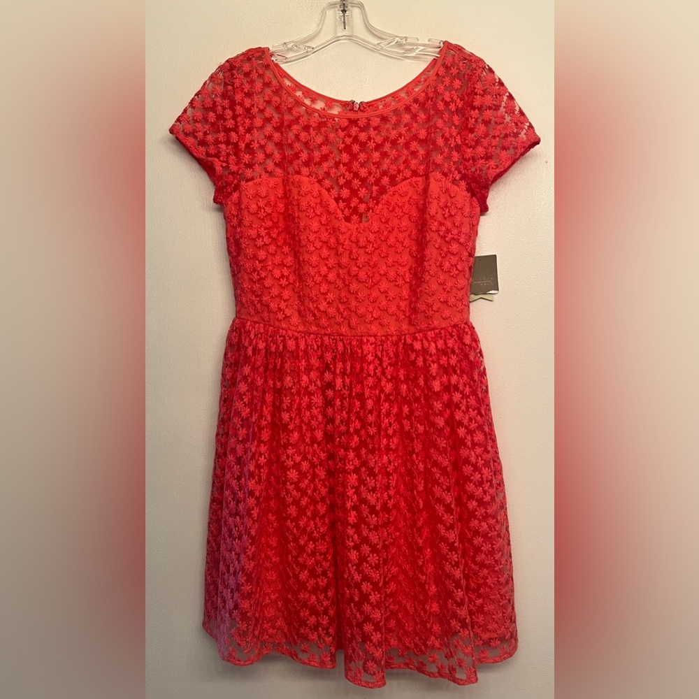 Anthropologie Artelier Pink / Rose Lace Sunday Dress size 10